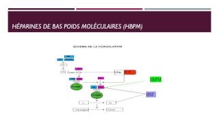 CARDIOLOGIE ANTICOAGULANTS EN PRATIQUE [upl. by Nnylatsyrk]