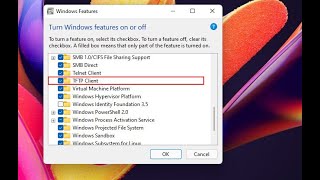 How to Setup and Configure TFTP Server on Windows 11 [upl. by Nareik]