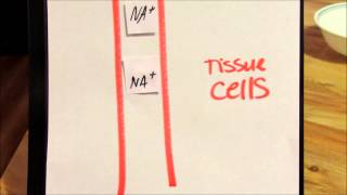 Nursing Students Fluid Balance [upl. by Nellad]