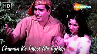 Chaman Ke Phool Bhi Tujhko  Mohd Rafi Hit Songs  Ajit Ragini Hit Songs  Shikari 1963 [upl. by Akselav]