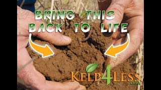 Kelp4less Podcast  Ep 36  Bring Your Soil Back To Life [upl. by Ellesirg254]