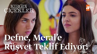 Defne Merale rüşvet teklif ediyor  Kırgın Çiçekler [upl. by Horick]