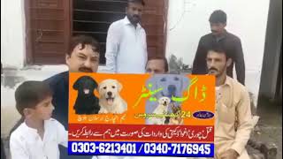 Army Dogs Chakwal Rawalpindi Peshawar Sialkot Sargodha Gujranwala Jhelum Rawalpindi Peshawar Lahore [upl. by Shanie]