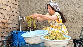 Rural Life and Natural Products Making Grape Syrup the OldFashioned Way [upl. by Florri501]