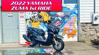 2022 Yamaha Zuma First ride and impressions [upl. by Monk]