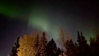 Alaska Northern Lights Above Fall Foliage Offer a Return Performance [upl. by Mercedes]