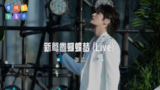 张远  新鸳鸯蝴蝶梦 Live 【电视剧《包青天》主题曲 OST】 高音质动态歌词 Pinyin Lyrics [upl. by Kcirtapnaes303]