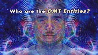 My Ayahuasca Trip Experience  DMT ENTITIES Part 44 [upl. by Mukund]