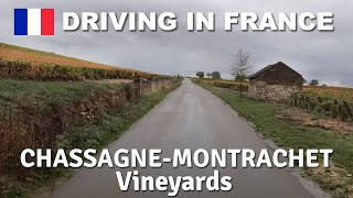 DRIVING in FRANCE  Vineyards ChassagneMontrachet Puligny [upl. by Southard]