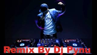 Andrea Otilia feat Costi  Passion Remix by Dj Pynu 2016 [upl. by Ycniuqed]