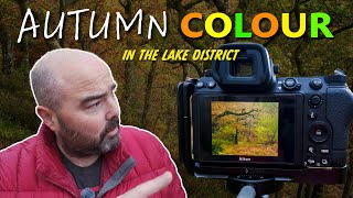 HOW TO Shoot Autumn Colour in FLAT LIGHT [upl. by Amos]