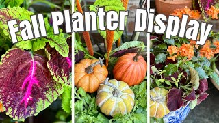 🍁 Stunning Fall Planters Coleus Petunias and Millet Container Garden Ideas [upl. by Adnawot587]