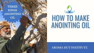 We Studied Anointing in the Bible Here’s What We Found [upl. by Adnuahsor]