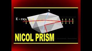 William Nicols Nicol Prism  Experiment by using Canada Balsam  Physics Video Experiments [upl. by Hcire861]