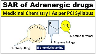 SAR of Adrenergic Drugs SAR of Sympathomimetic Drugs [upl. by Yelkcub]