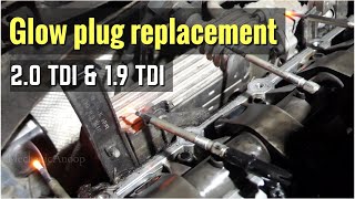 How to replace glow plugs of TDI engines 19 TDI amp 20 TDI glowplug tdi [upl. by Remliw579]