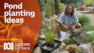 How to add aquatic plants to your pond  Garden Design and Inspiration  Gardening Australia [upl. by Fates]