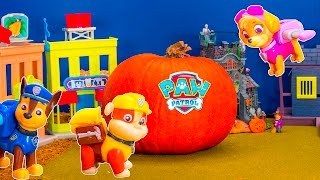 Paw Patrol and the Pumpkin a Funny Halloween Video [upl. by Quinlan]