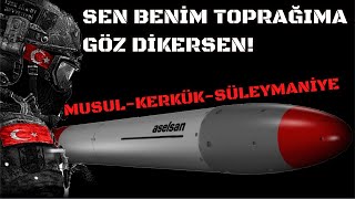 TÜRKİYEDEN TOPRAK İSTEYENLER İYİ İZLEYİN BU VİDEOYU ATİLLA EĞER SINIRLARINIZDA SORUN VARSA [upl. by Chor834]