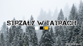 Strzały w tatrach Polish Wolgostanian Rap song history music viral viralvideo rap [upl. by Ahtekal857]