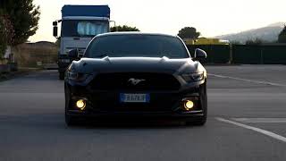 Ford Mustang Fastback 23 Ecoboost  Start Sound Power Best Test Drive [upl. by Donohue466]