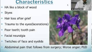 Staphysagria Homeopathic Medicine Tips For Beginners [upl. by Leumel]