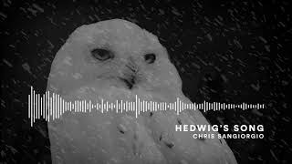 Hedwigs Song Harry Potter House Remix [upl. by Hedvige]