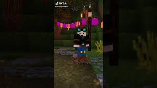 Aphmau shorts Subscribe for more 😍 🥰 [upl. by Ellehcir]