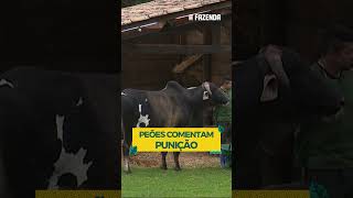 Yuri e Albert comentam punição recebida afazenda afazenda16 shorts [upl. by Trstram]