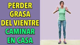 Entrenamiento de 35 Minutos para Quemar Grasa del Vientre  Caminata en Casa [upl. by Avika400]