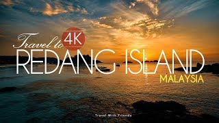 Travel to Redang Island Malaysia in 4K [upl. by Weingarten]