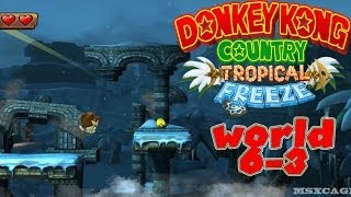 Donkey Kong Country Tropical Freeze  World 63 Aqueduct Assault Gameplay Wii U  HD [upl. by Tonie]