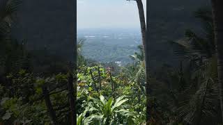 ANTIPOLO VIEW viral antipolo nice view youtubeshorts [upl. by Kessia]