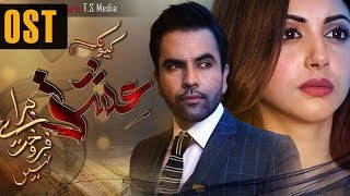 Kyunke Ishq Baraye Farokht Nahi  OST  Aplus  Junaid Khan Moomal Khalid Shehroz Sabzwari  C3N1 [upl. by Leidag400]