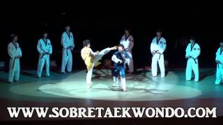 Formidable exhibición de Taekwondo con los K Tigres de Korea [upl. by Nnaillek]