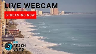 Live Webcam Panama City Beach Florida [upl. by Nysila]