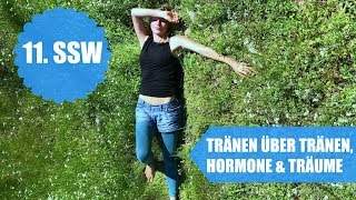 Tränen über Tränen Hormone und Träume  11SSW [upl. by Atterehs]