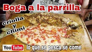 Boga a la parrilla  criolla y chimi  receta [upl. by Reeves899]