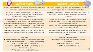 Diferencias entre la Inmunidad innata y la Inmunidad adaptativa 🧐 [upl. by Ferino]