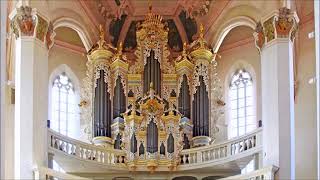 JSBachChristoph Bossert  Fantasia C Dur BWV 573 [upl. by Liuqnoj]