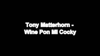 Tony Matterhorn  Wine Pan Mi Cocky April 2011 HD [upl. by Eversole]