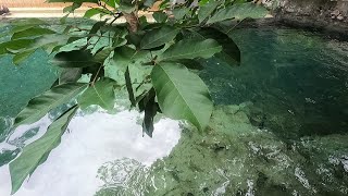 Malanday Mercedes Hot Spring in Calauan  Hot Spring Resort in Laguna near Silva Hot Spring [upl. by Shelly]