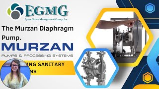 The Murzan Diaphragm Pumps  Air in Processing Line  Pumps run dry  Sanitary Pump  Solution [upl. by Noell]