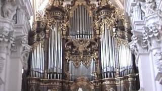 The Largest Cathedral Organ [upl. by Kletter996]