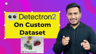 Train Object Detection Model with Detectron2 on Custom Data [upl. by Cooper]