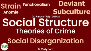 Social Structure Theories of Crime  Social Disorganization Strain Cultural Deviance [upl. by Alber]