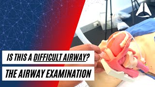 Is this a difficult airway The Airway Examination Fundamentals  ABCS of Anaesthesia Foundations [upl. by Nnaarual]