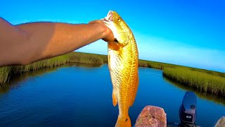 I saw probably 100 redfish in shallow water Redfishing the Mississippi marsh [upl. by Latimore]