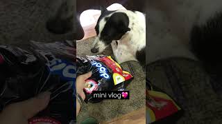 Dog food💖Drools puppy nutritionBulbul varshney vlogs dogfood drools minivlog viralshorts [upl. by Nnaacissej979]