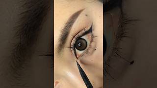 Mastering Eyeliner for Beginners  Nightliner DailyEyeMakeup shorts makeuptutorial [upl. by Justin463]